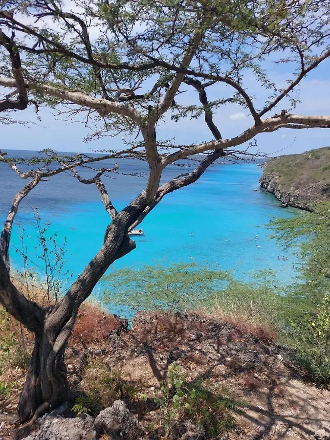 Prázdninový dům Caribbean Beach Resort Blenchi Curacao Willemstad