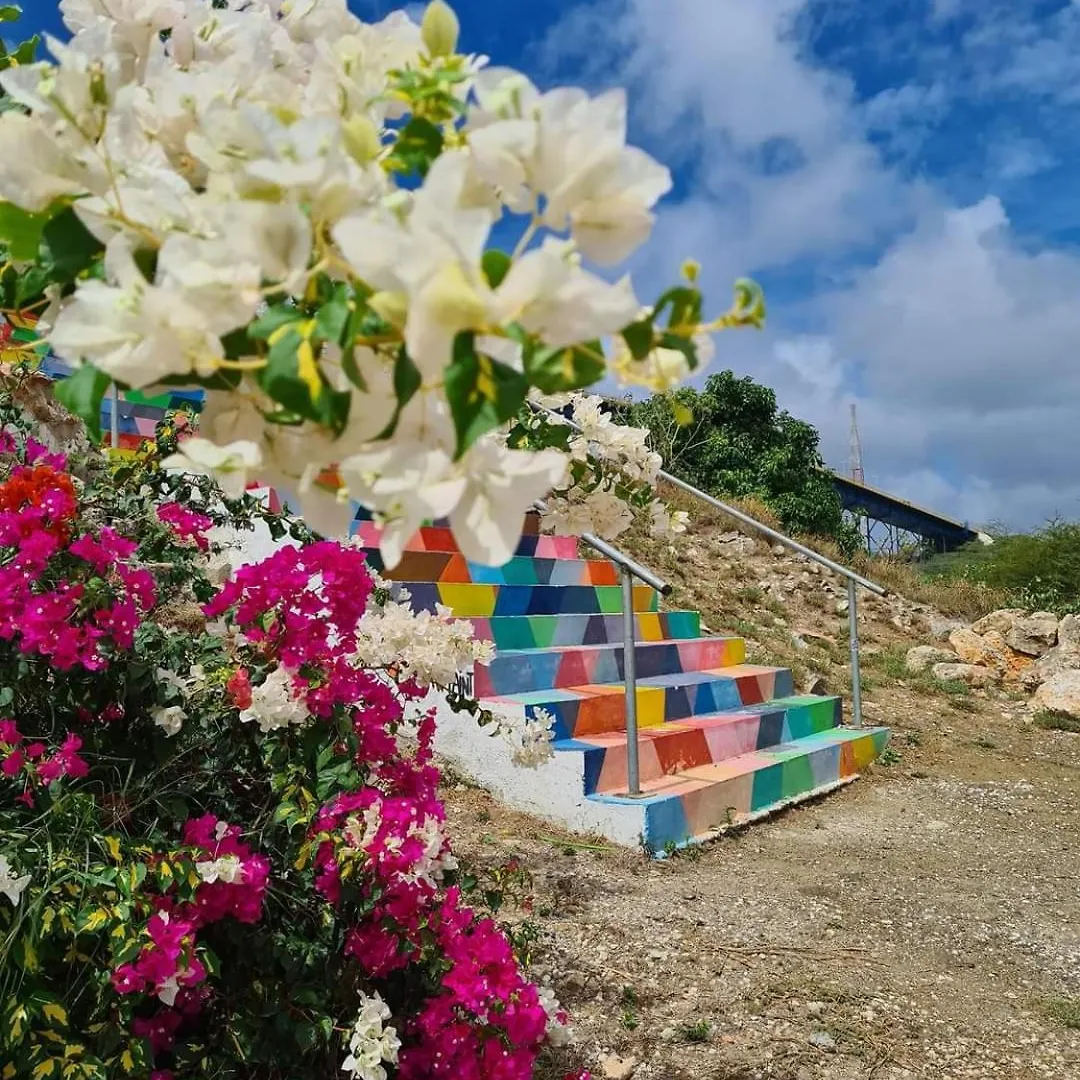 Caribbean Beach Resort Blenchi Curacao Willemstad