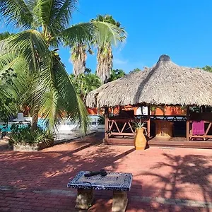 Woodstock Palmresort Willemstad